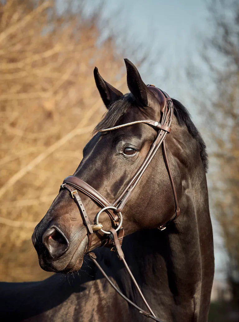 Finesse Himalaya Snaffle Bridle | Rolled Leather - Medium Width Noseband
