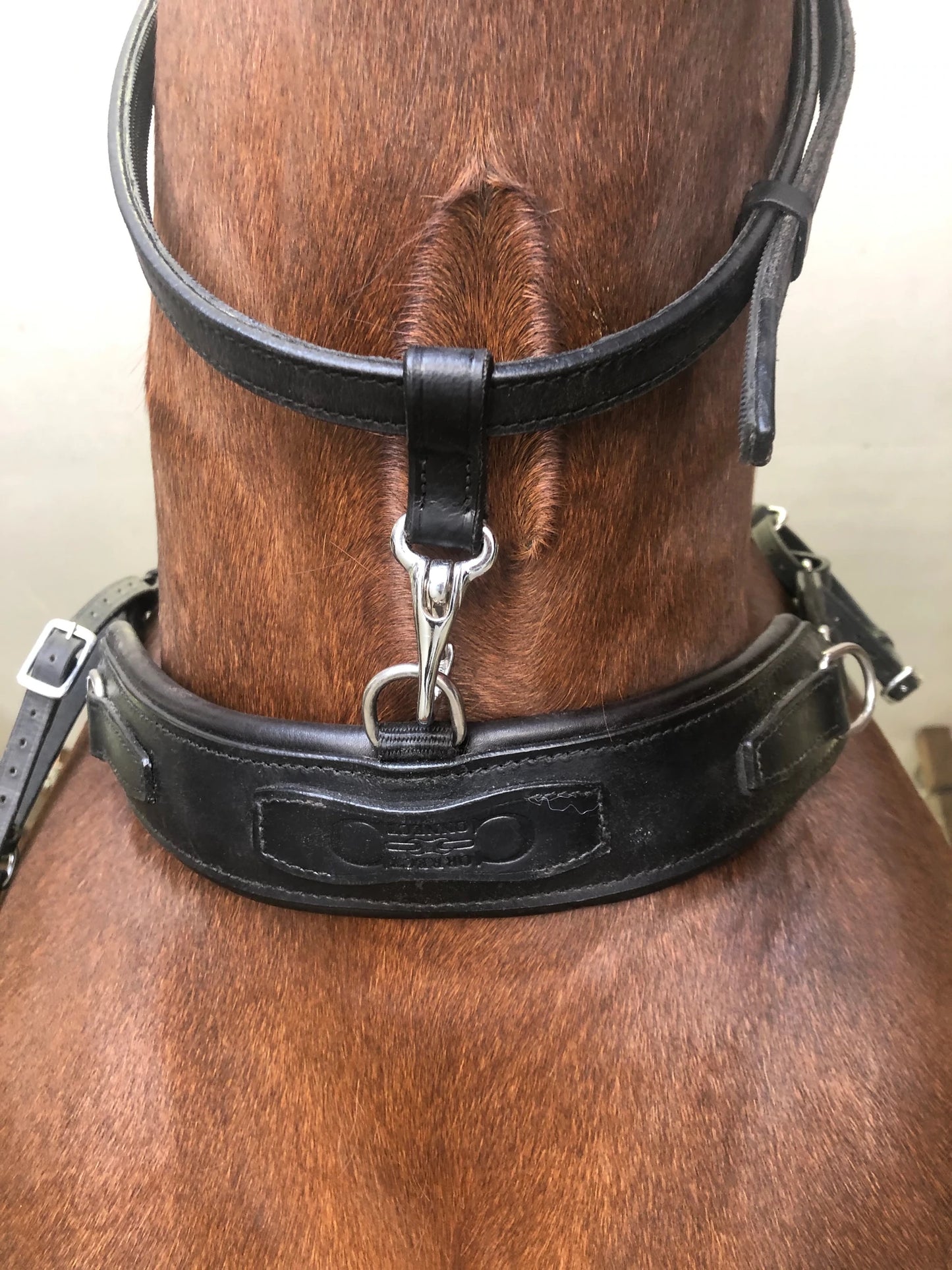 Correct Connect ™ 3-in-1 Training Breastplate