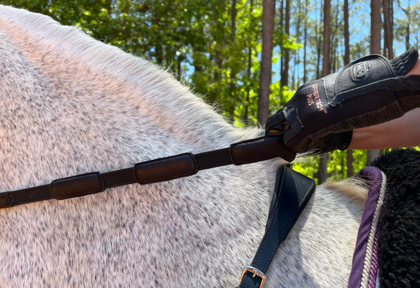 Correct Connect - Comfort Connect Reins