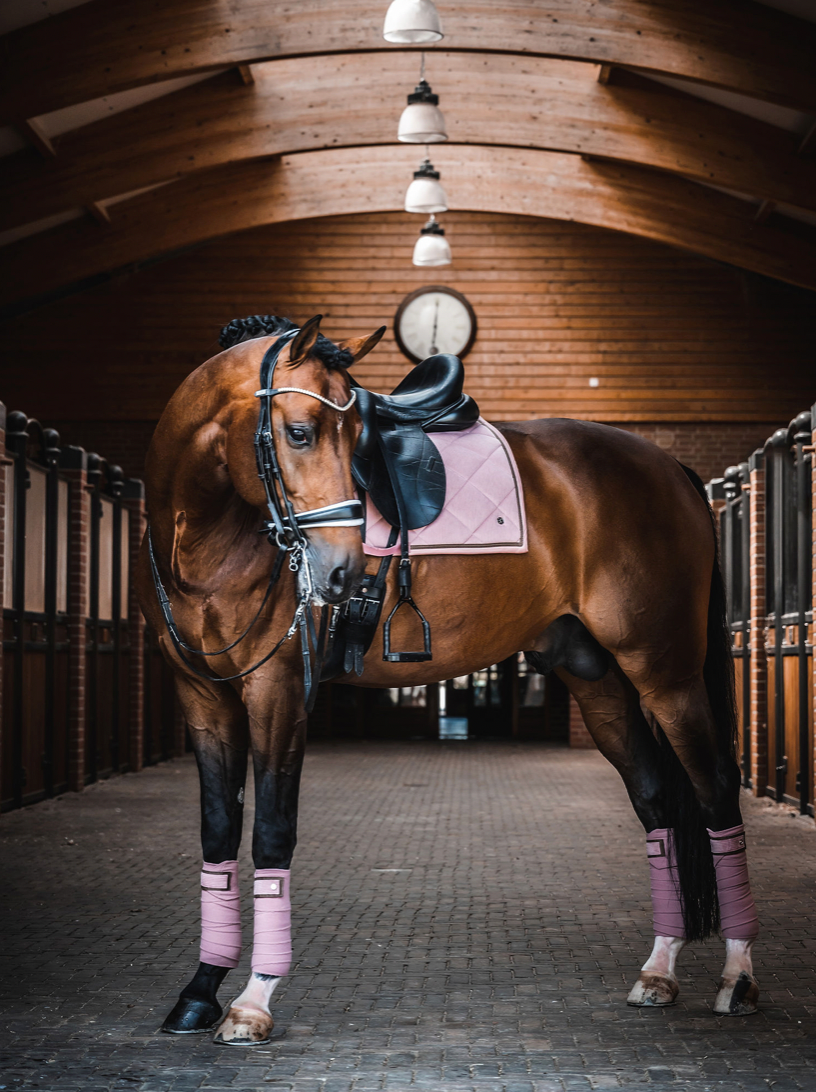 PS of Sweden FW21 Blush Corduroy Saddle Pad | Dressage or Jump