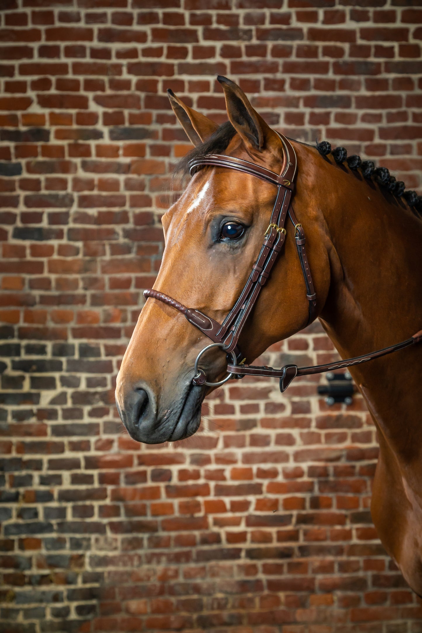 Dy’on D Collection Leather Covered Rope Noseband Bridle