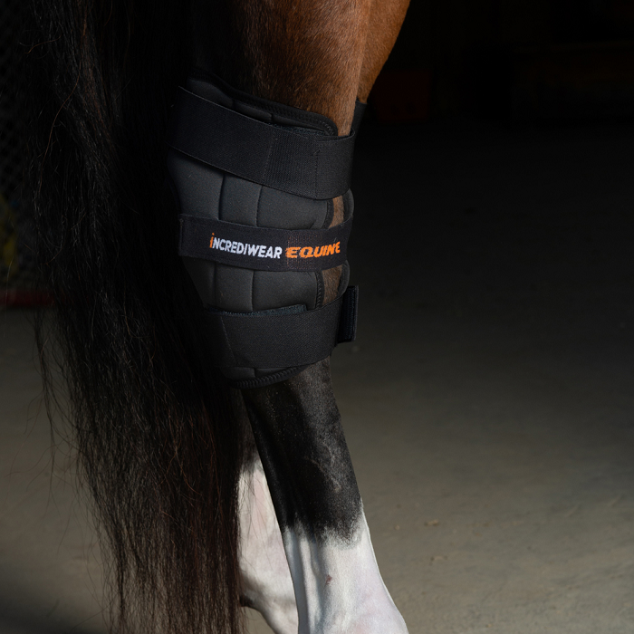 Incrediwear Equine Circulation Hock Boots | SINGLE BOOT: RIGHT ONLY