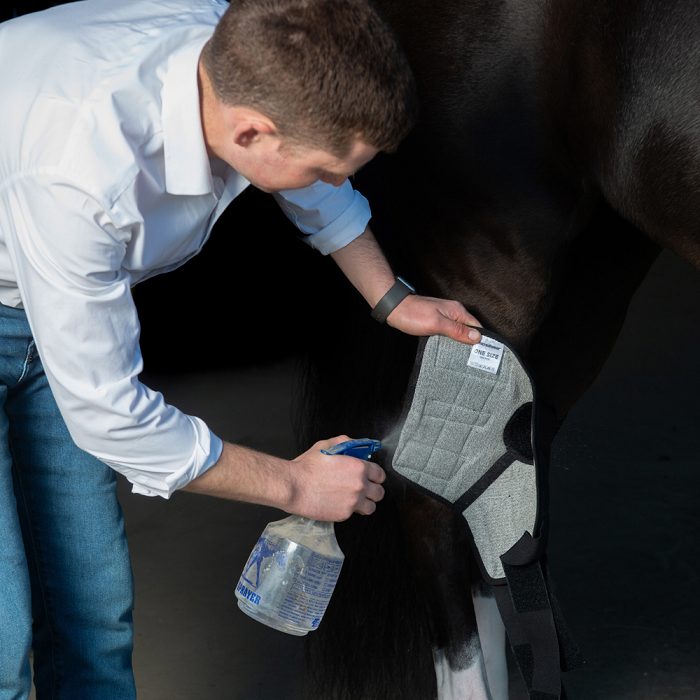 Incrediwear Equine Circulation Hock Boots Pair Horse Fashion Australia