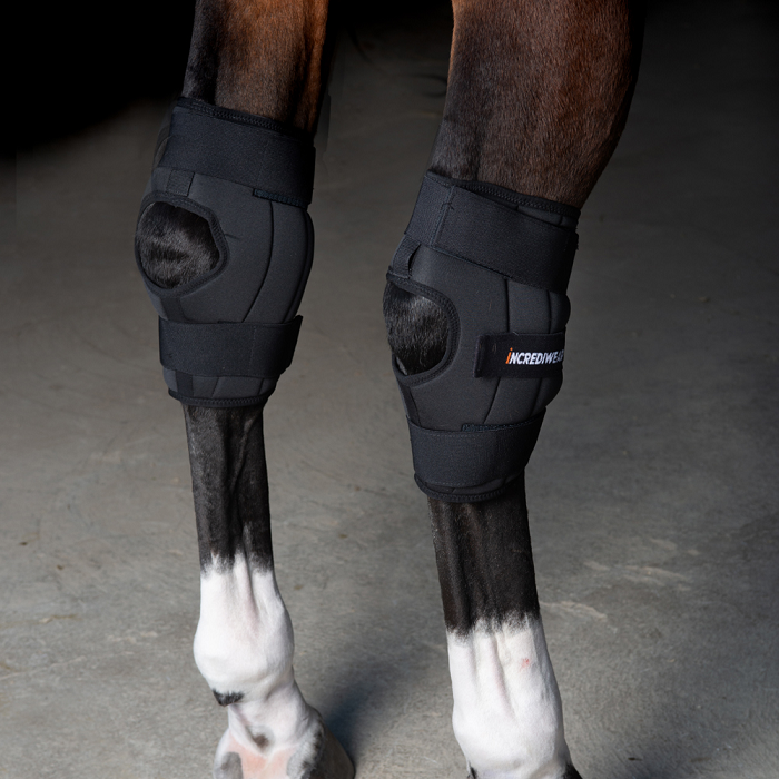 Incrediwear Equine Circulation Hock Boots | SINGLE BOOT: RIGHT ONLY