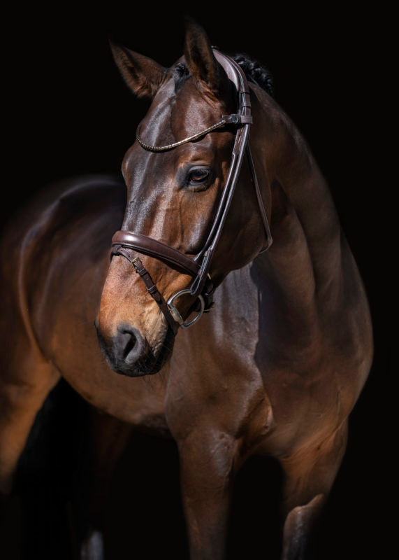 Finesse Himalaya Snaffle Bridle | Rolled Leather - Medium Width Noseband