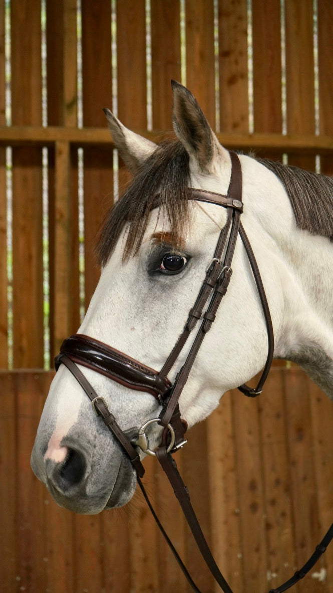 Working by Dy'on Large Crank Flash Noseband Bridle