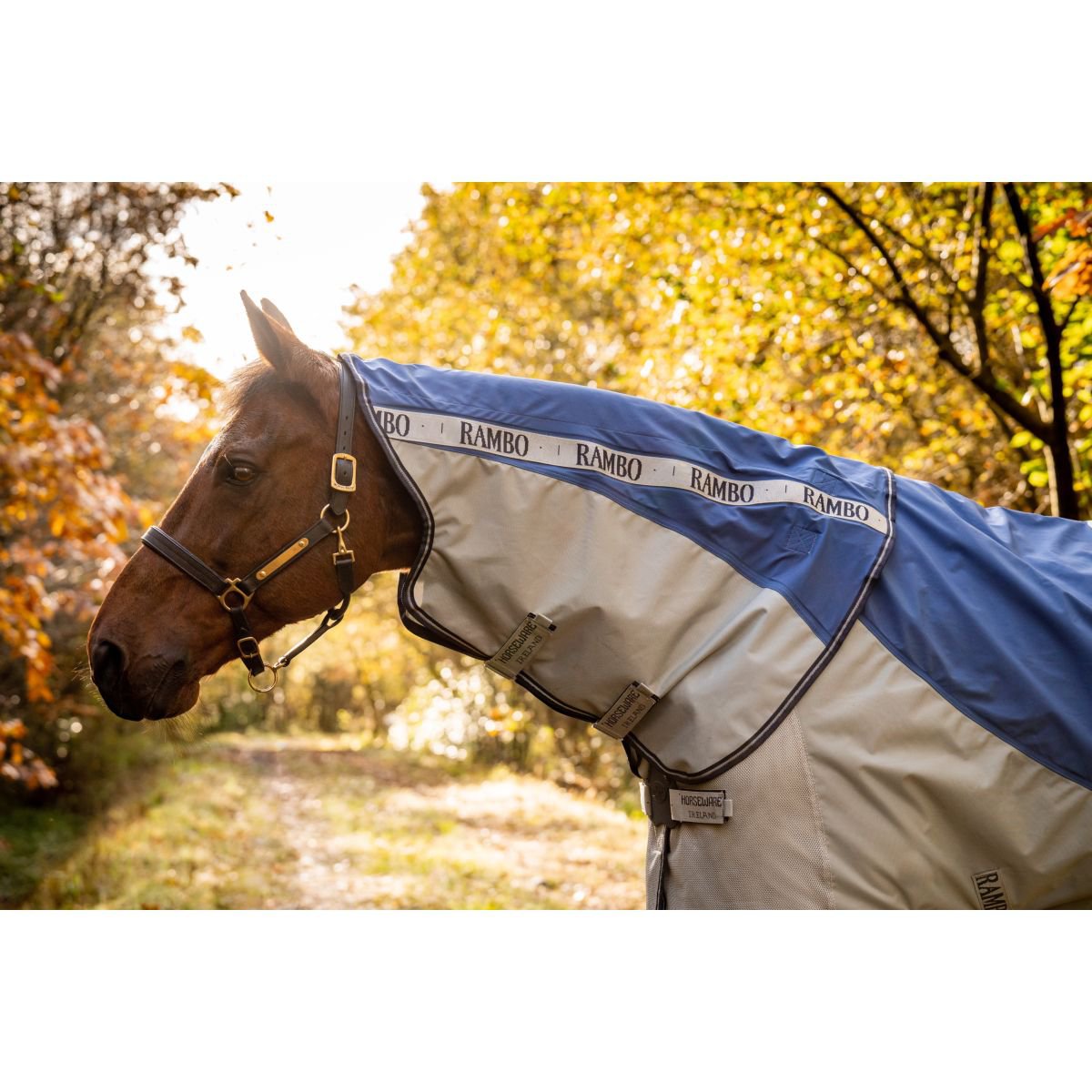Rambo Autumn Series Turnout Disc Front