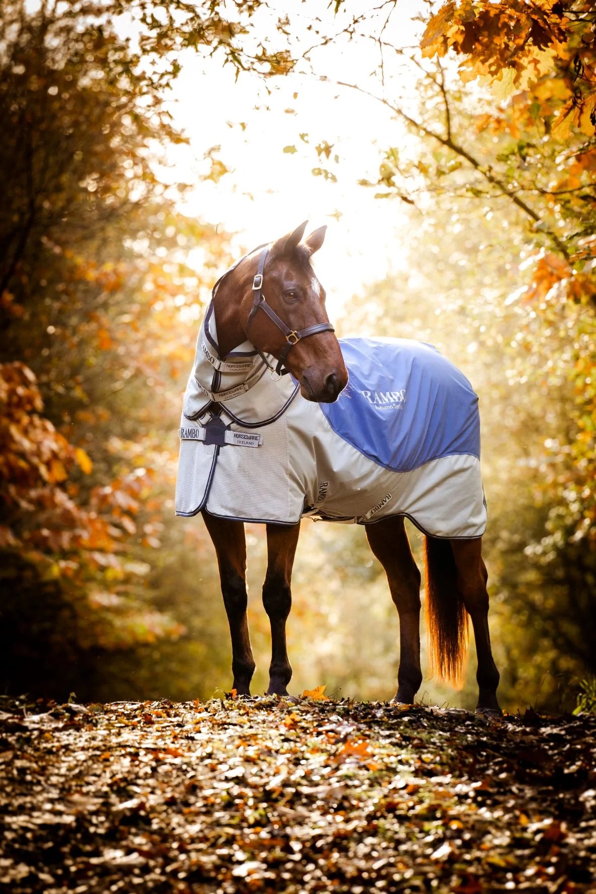 Rambo Autumn Series Turnout Disc Front