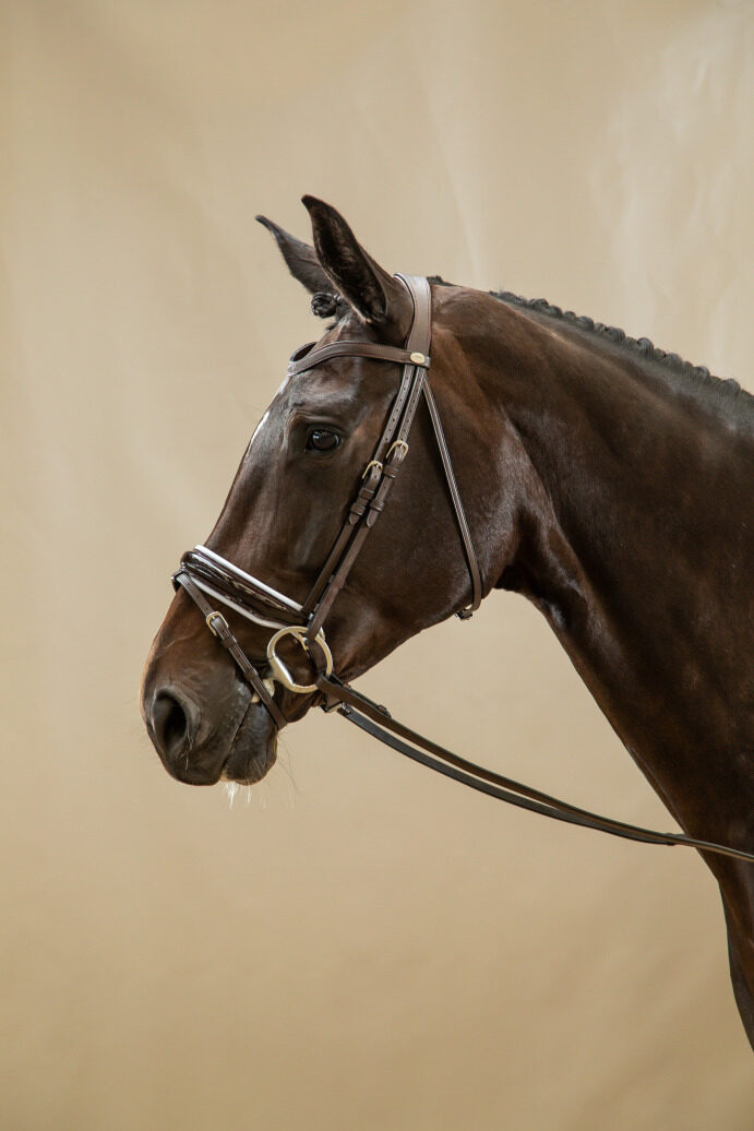 Working by Dy'on Large Crank Flash Noseband Bridle