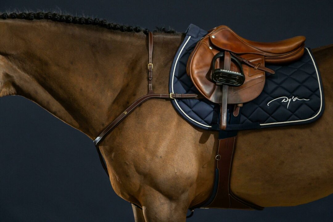 Dy'on D Collection Long Bridge Breastplate