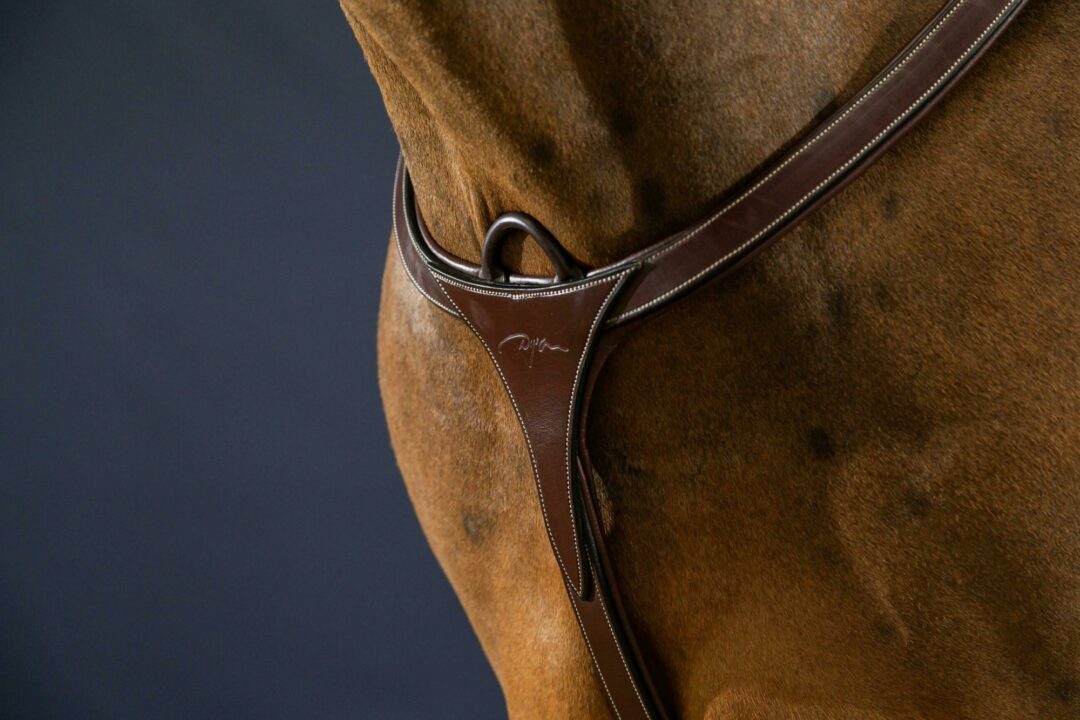 Dy'on D Collection Long Bridge Breastplate