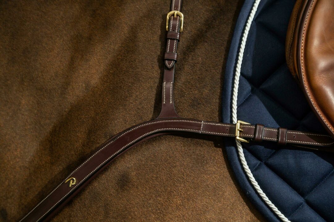 Dy'on D Collection Long Bridge Breastplate