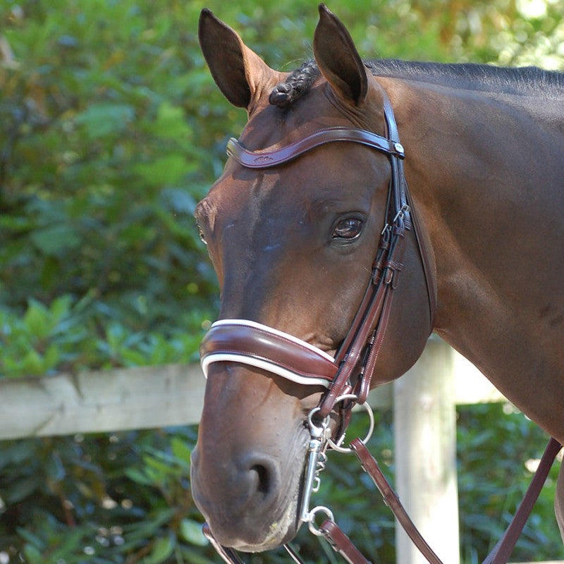 Dy'on Dressage Collection Double Bridle Flat Leather
