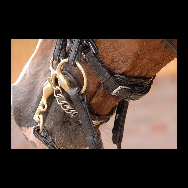 Dy'on Dressage Collection Rolled Leather Double Bridle