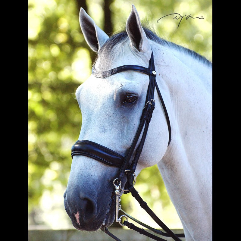 Dy'on Dressage Collection Double Bridle Flat Leather
