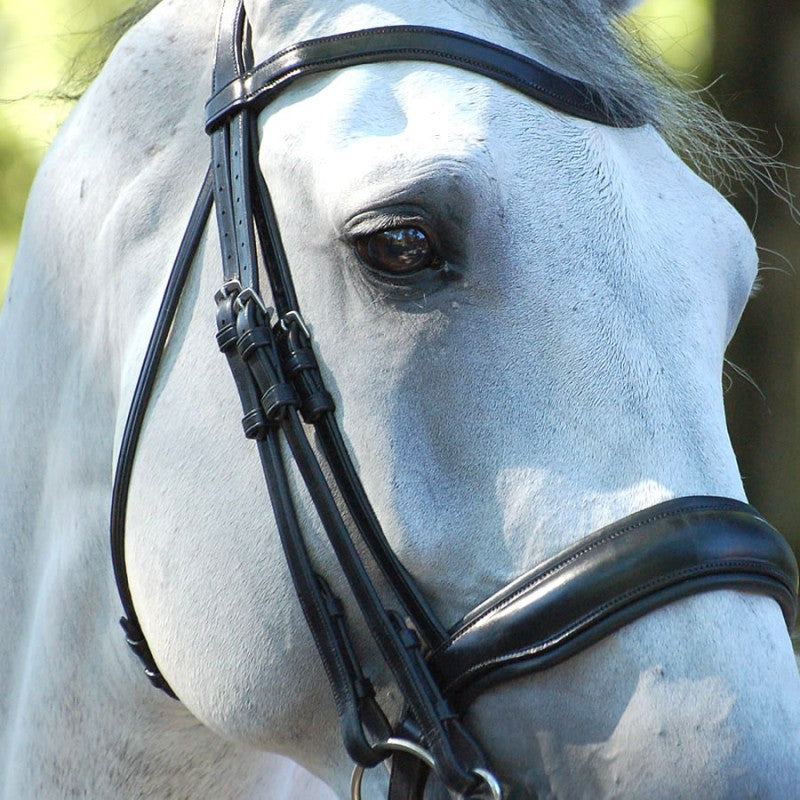 Dy'on Dressage Collection Double Bridle Flat Leather