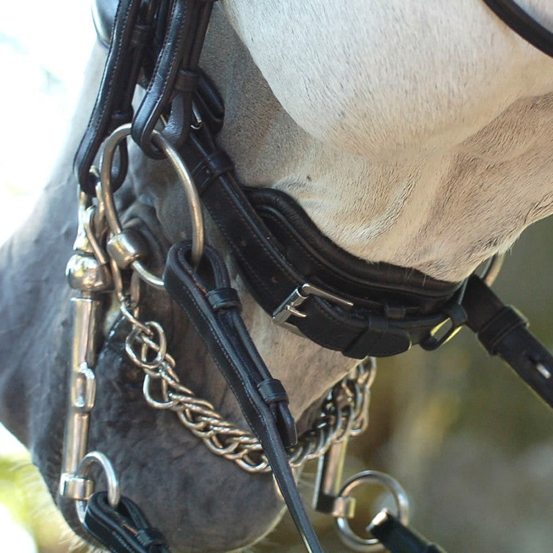 Dy'on Dressage Collection Double Bridle Flat Leather