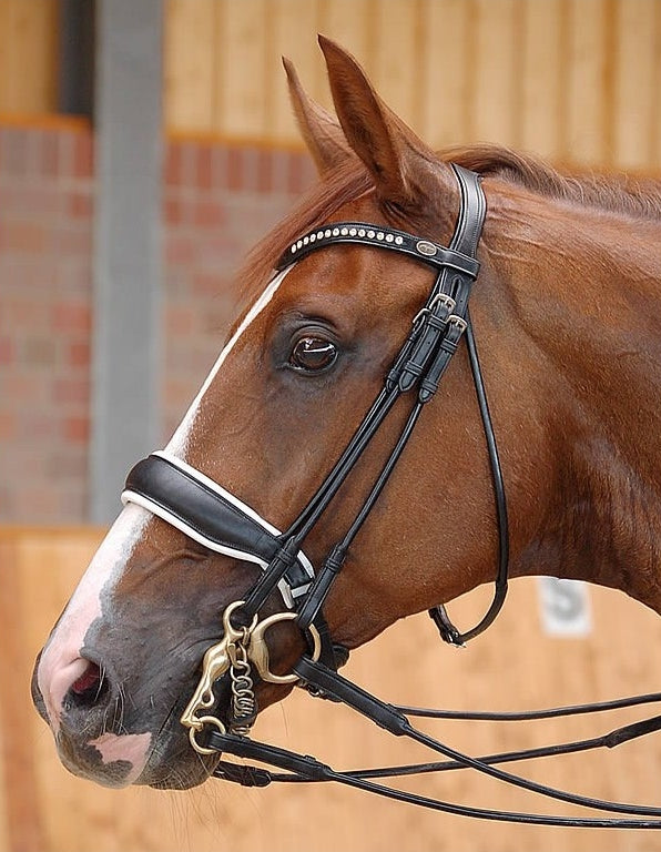 Dy'on Dressage Collection Rolled Leather Double Bridle