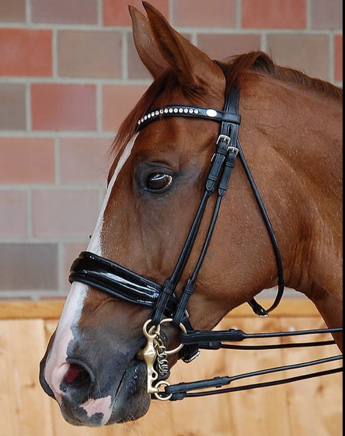 Dy'on Dressage Collection Rolled Leather Double Bridle