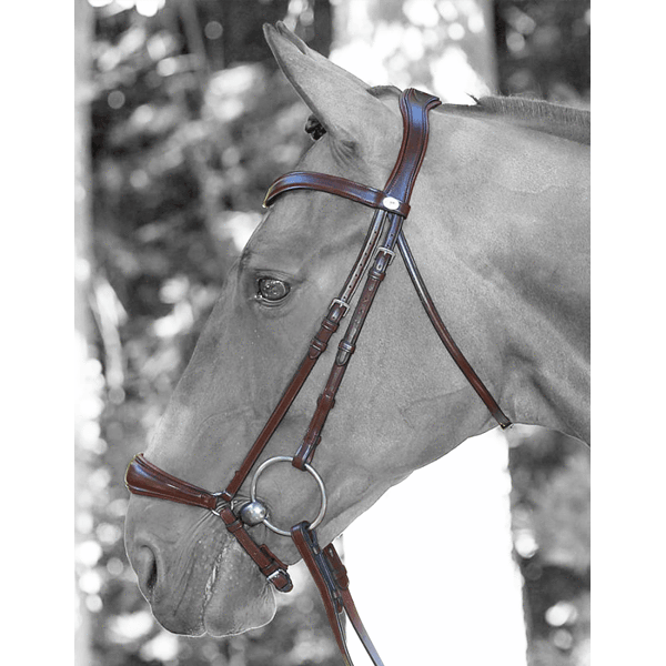 Dy'on Drop Noseband Flat Leather Dressage Bridle