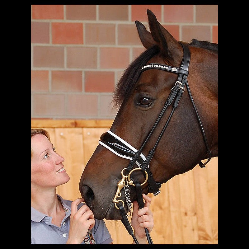 Dy'on Dressage Collection Rolled Leather Double Bridle