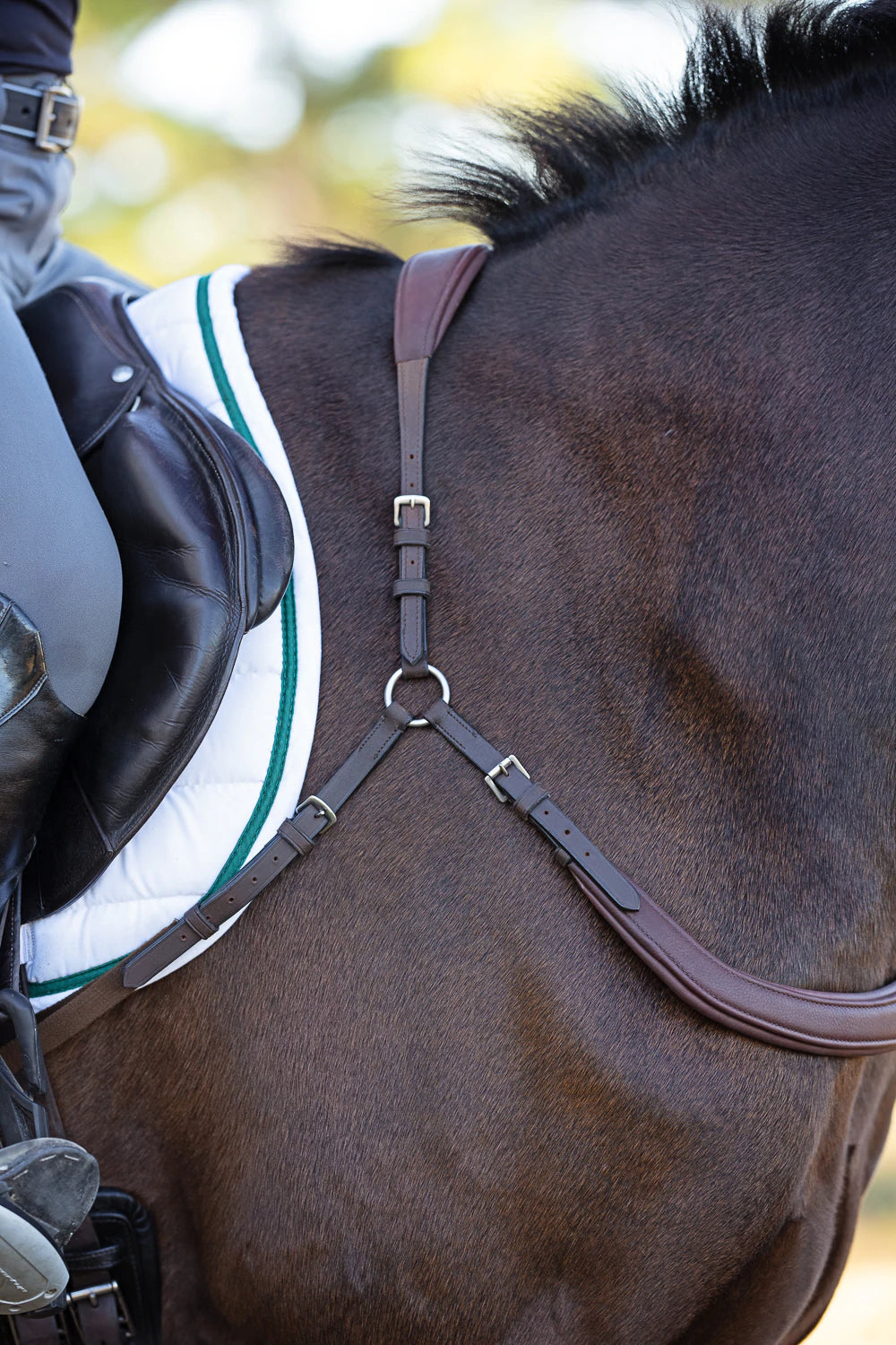 Correct Connect Free Motion Breastplate