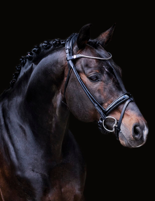Finesse Himalaya Snaffle Bridle | Rolled Leather - Medium Width Noseband