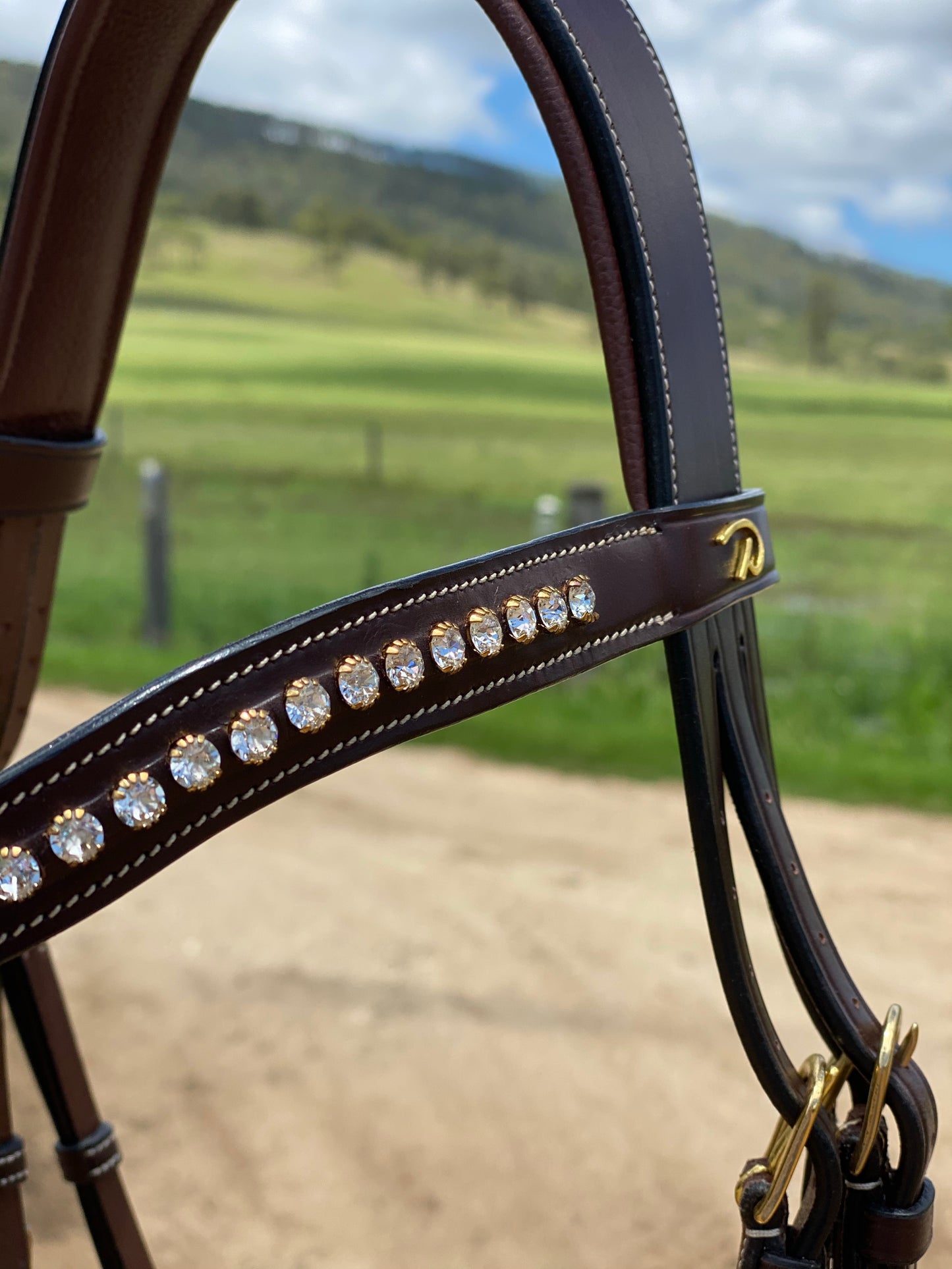 Dy’on Collection Semi-Custom Flash Noseband Bridle