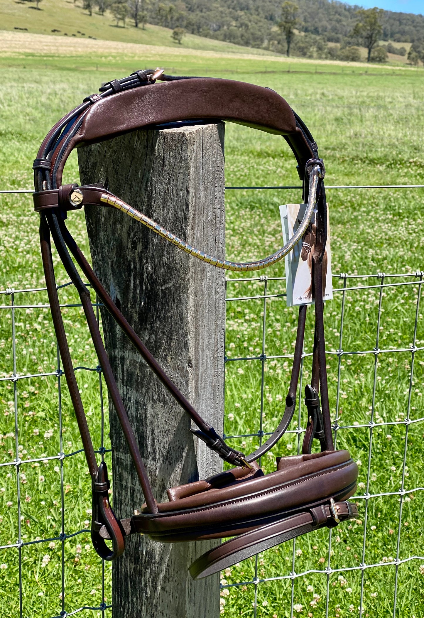 Finesse Snaffle Bridle | Brown Rolled Leather