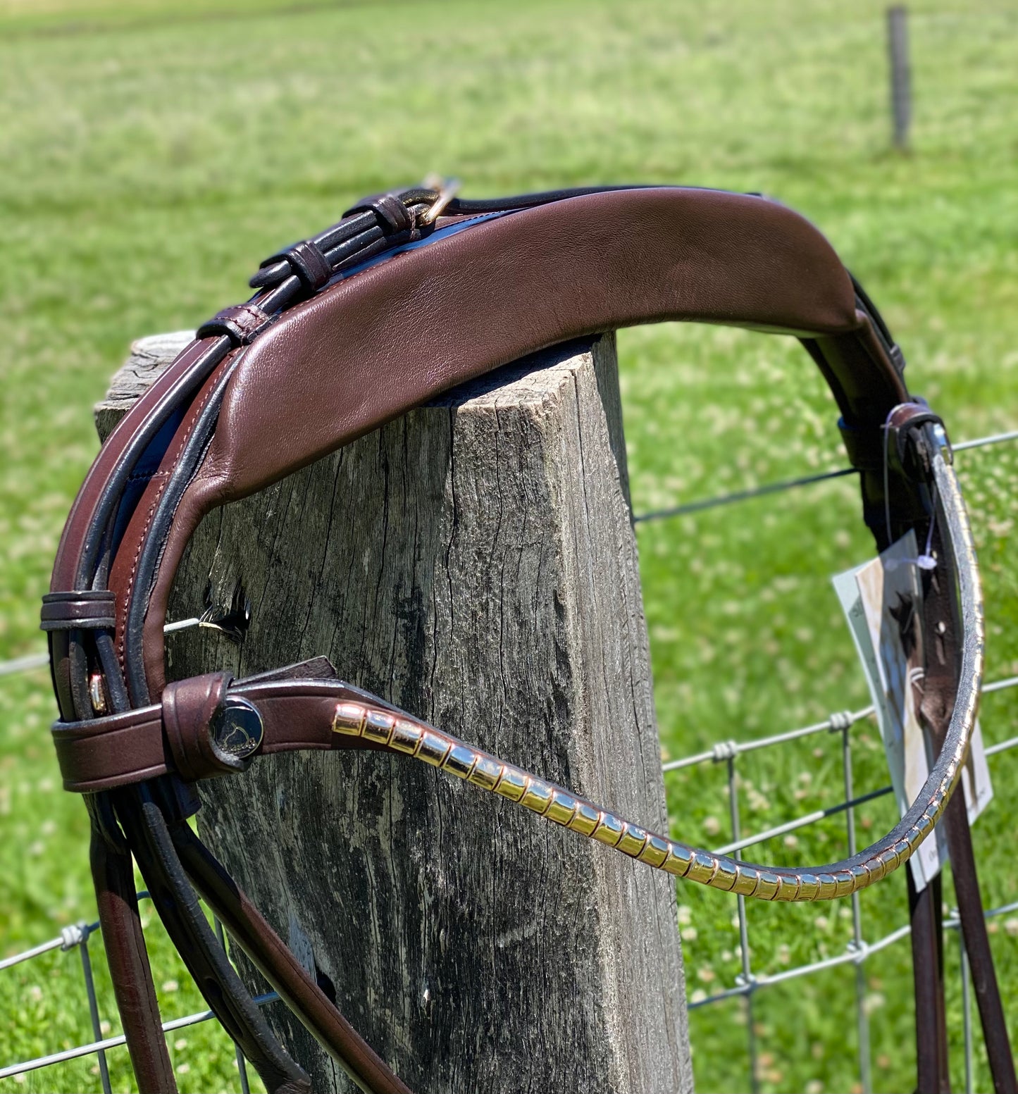 Finesse Snaffle Bridle | Brown Rolled Leather