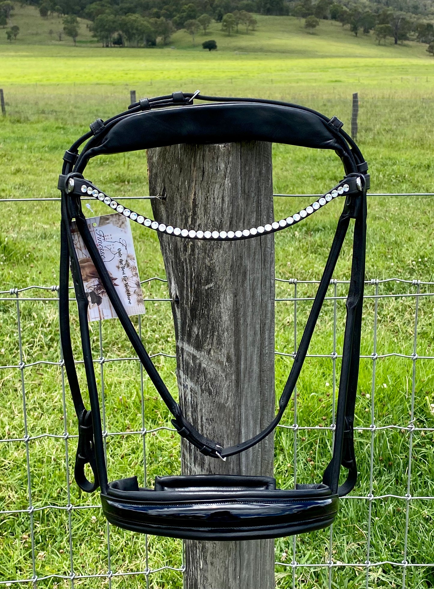 Finesse Snaffle Bridle Cassidy | Rolled Black Leather with Silver Clincher Browband