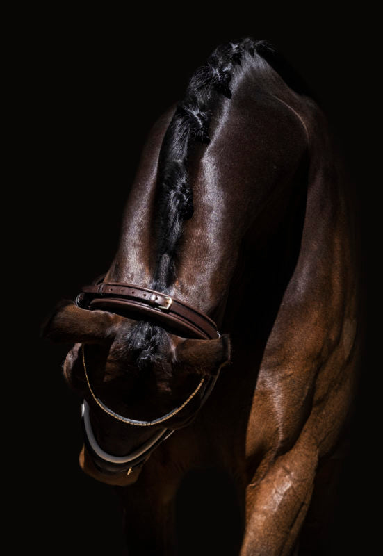 Finesse Himalaya Snaffle Bridle | Rolled Leather - Medium Width Noseband