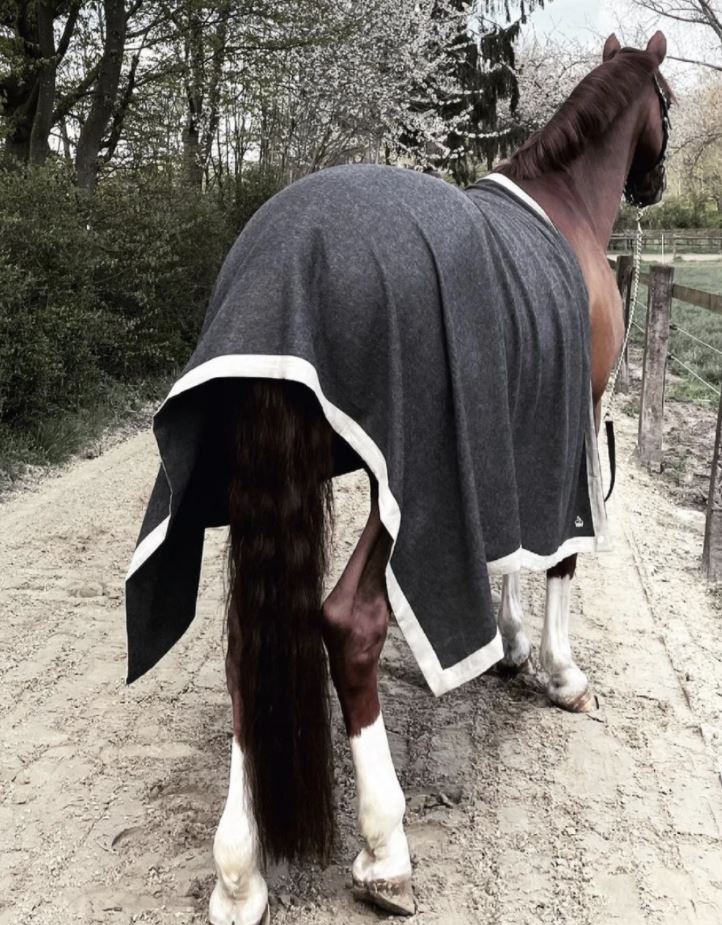 L'Evoine Alpaca "Plaid Lynn" Blanket