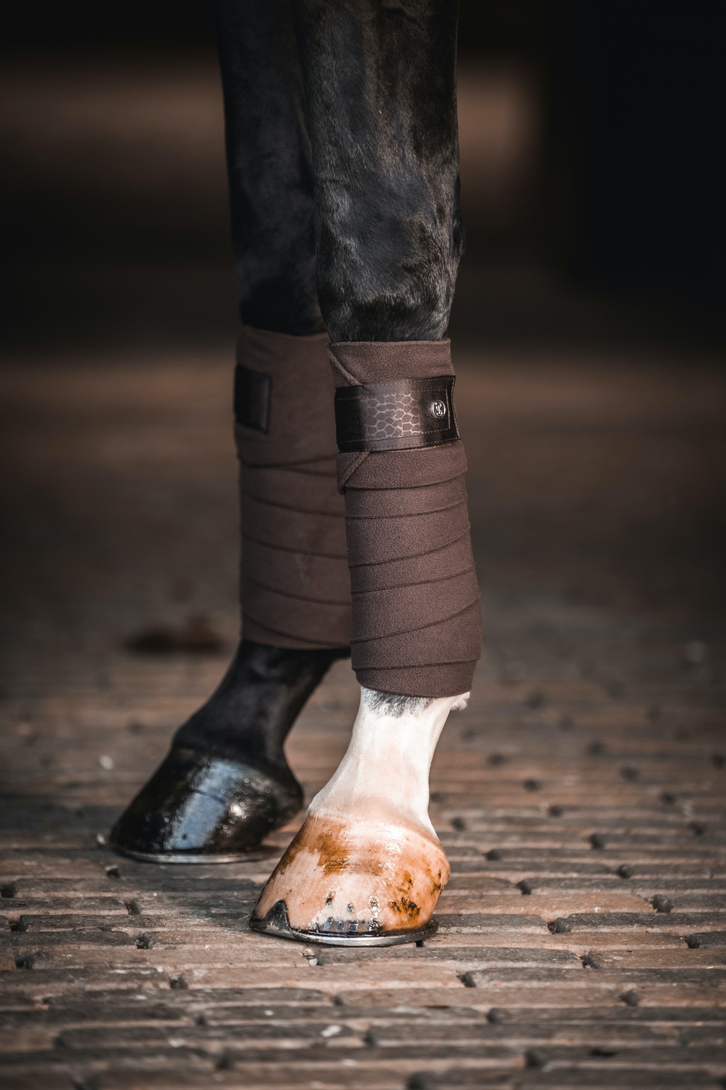 PS of Sweden Fall 21 Mamba Polo Bandages | Coffee