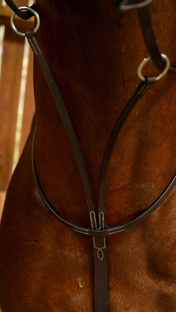 Working By Dy'on Running Martingale