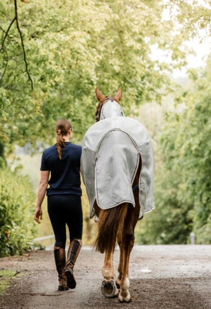 Rambo Protector Fly Rug NEW DESIGN