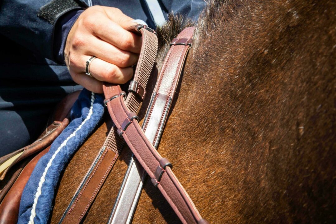 Dy'on Dressage Flat Leather Reins 5/8"