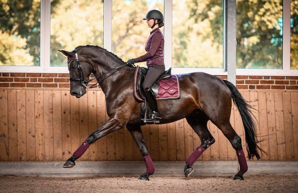 PS of Sweden Monogram Saddle Pad WINE Dressage or Jump