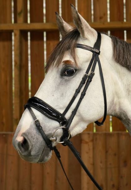 Working by Dy'on Large Crank Flash Noseband Bridle