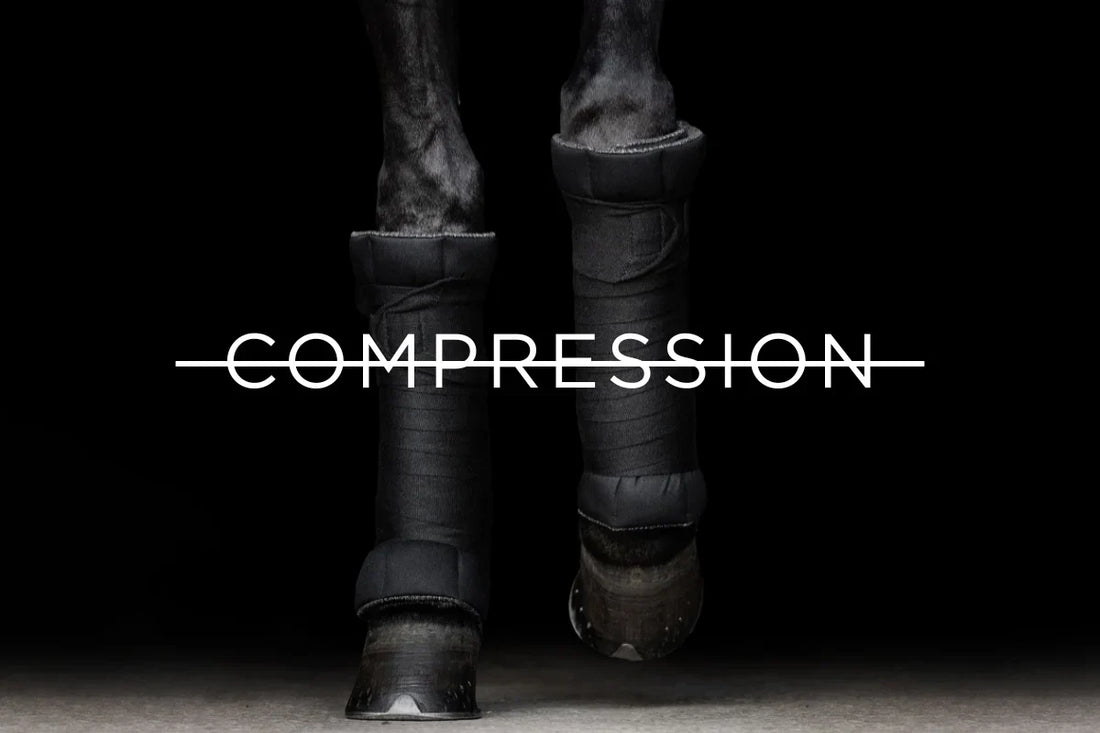 Modernise Your Equine Recovery Program - Circulation not Compression