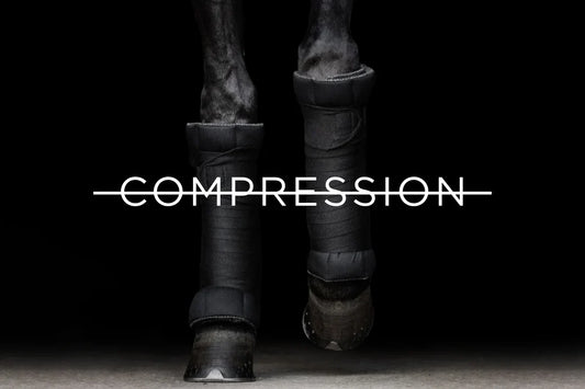 Modernise Your Equine Recovery Program - Circulation not Compression