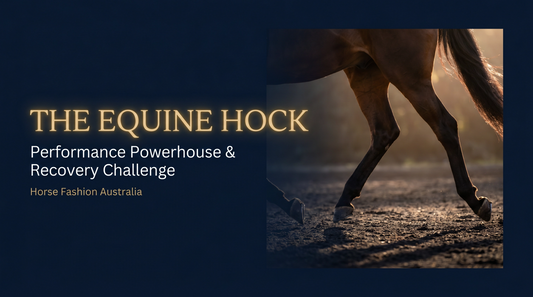 The Equine Hock: Performance Powerhouse and Recovery Challenge