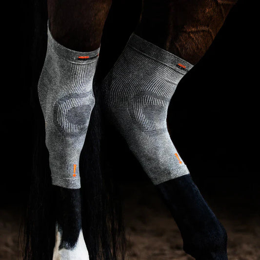 Understanding Hock Injuries in Horses and What You Can Do