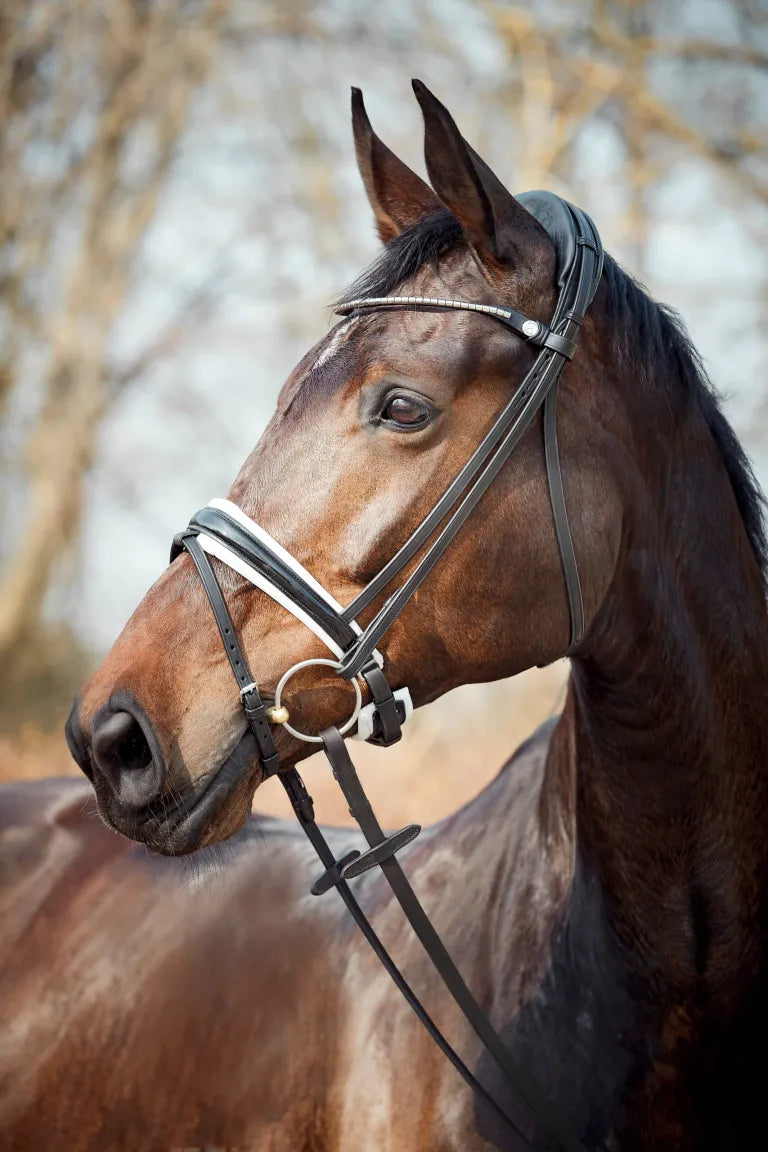 Finesse Snaffle Bridle Cayenne | Black Leather with Silver Clincher Browband FLAT Leather