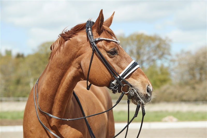 Finesse Double Bridle Cassidy V2.0 | Rolled Black Leather with Silver Clincher Browband