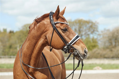 Finesse Double Bridle Cassidy V2.0 | Rolled Black Leather with Silver Clincher Browband