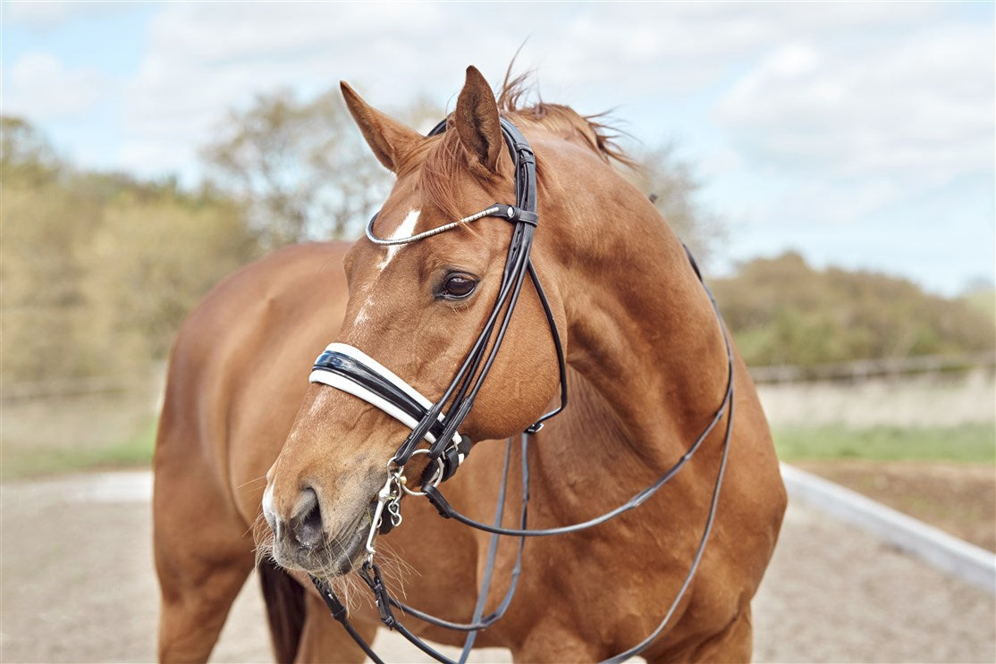 Finesse Double Bridle Cassidy V2.0 | Rolled Black Leather with Silver Clincher Browband