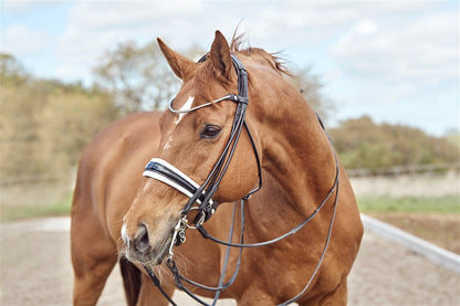 Finesse Double Bridle Cassidy V2.0 | Rolled Black Leather with Silver Clincher Browband