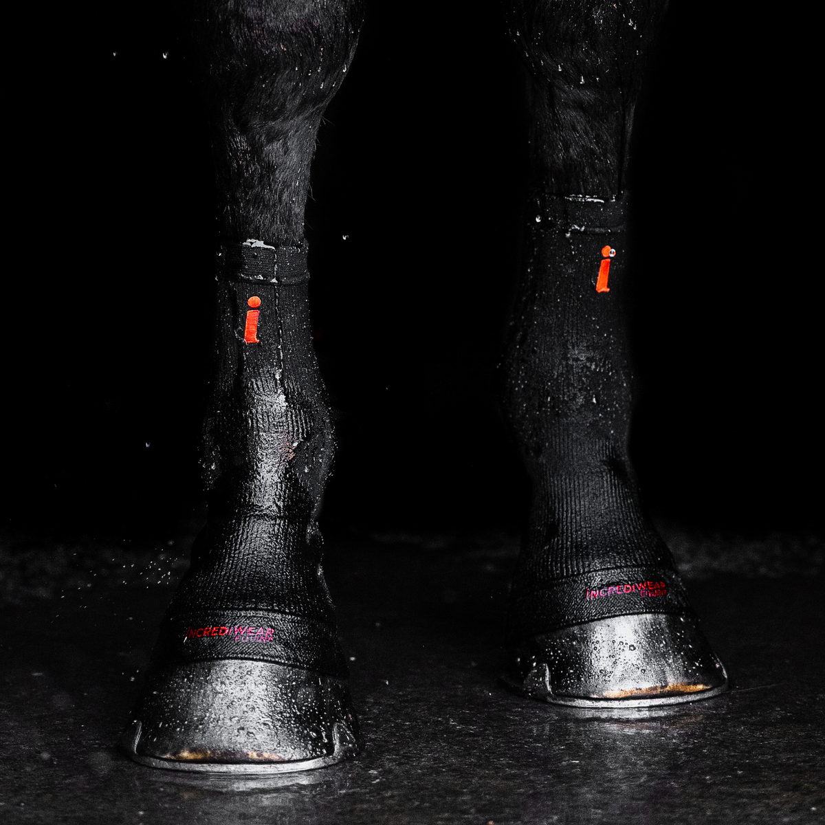 Incrediwear Equine Circulation Hoof Socks - BLACK – Horse Fashion Australia