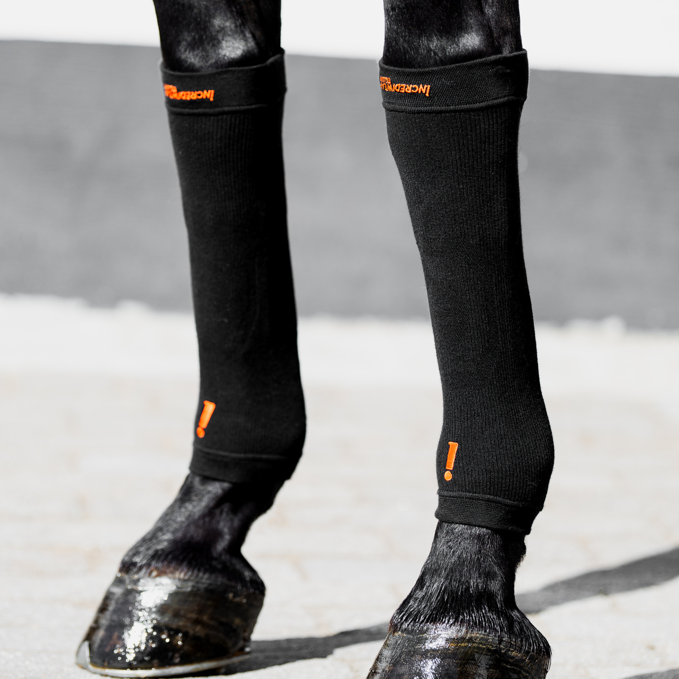Incrediwear Equine Circulation Hoof Socks - BLACK